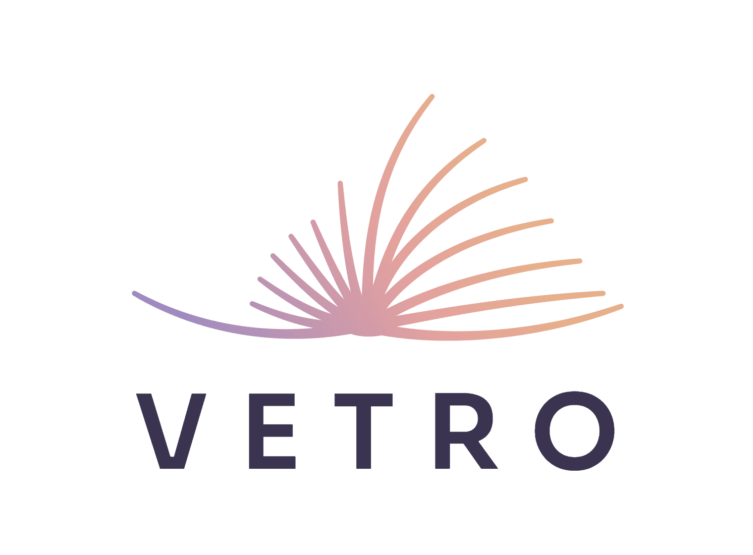 Vetro